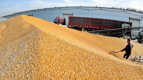 2018年農村經濟形勢嚴峻，農民增收困難，出路何在？